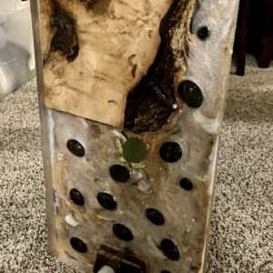 Charcuterie Board Turtle scenery